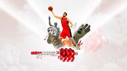 Andrea Bargnani Raptors Widescreen