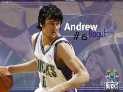 Andrew Bogut