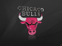 Chicago Bulls