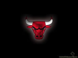 Chicago Bulls