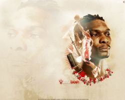 Chris Bosh 1280x1024 Raptors