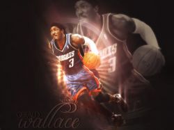 Gerald Wallace Charlotte Bobcats