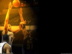 Hamed Haddadi Grizzlies