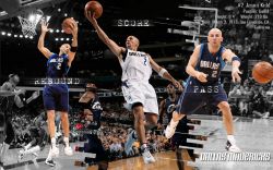 Jason Kidd Mavs Widescreen