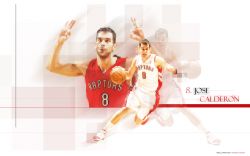 Jose Calderon Raptors Widescreen