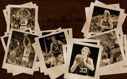 Larry Bird Celtics Widescreen