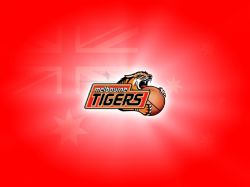 Melbourne Tigers