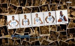 New Orleans Hornets Polaroid 2010 Widescreen