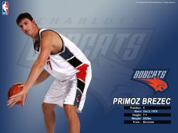 Primoz Brezec Bobcats