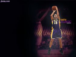 Sasha Vujacic