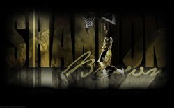 Shannon Brown Slam Dunk Widescreen wallpaper