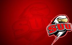 Southern Utah Thunderbirds Logo Widescreen