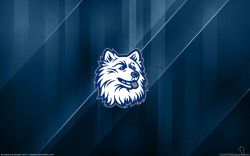 UCONN Huskies Logo Widescreen